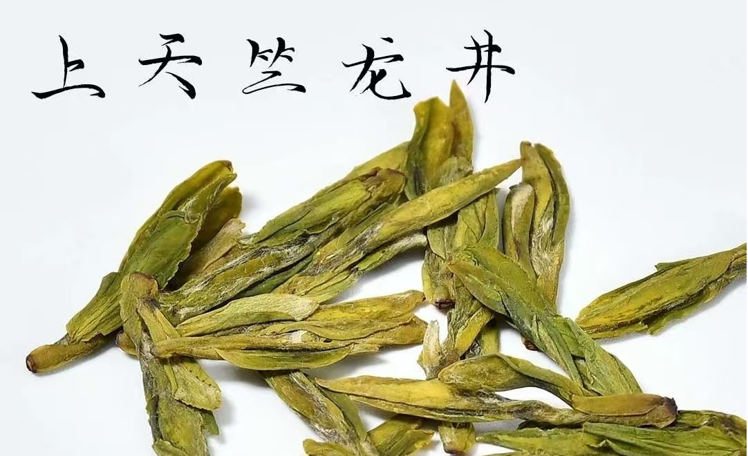 shangtianzhu dragon well dried tea leaves